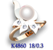 K4860